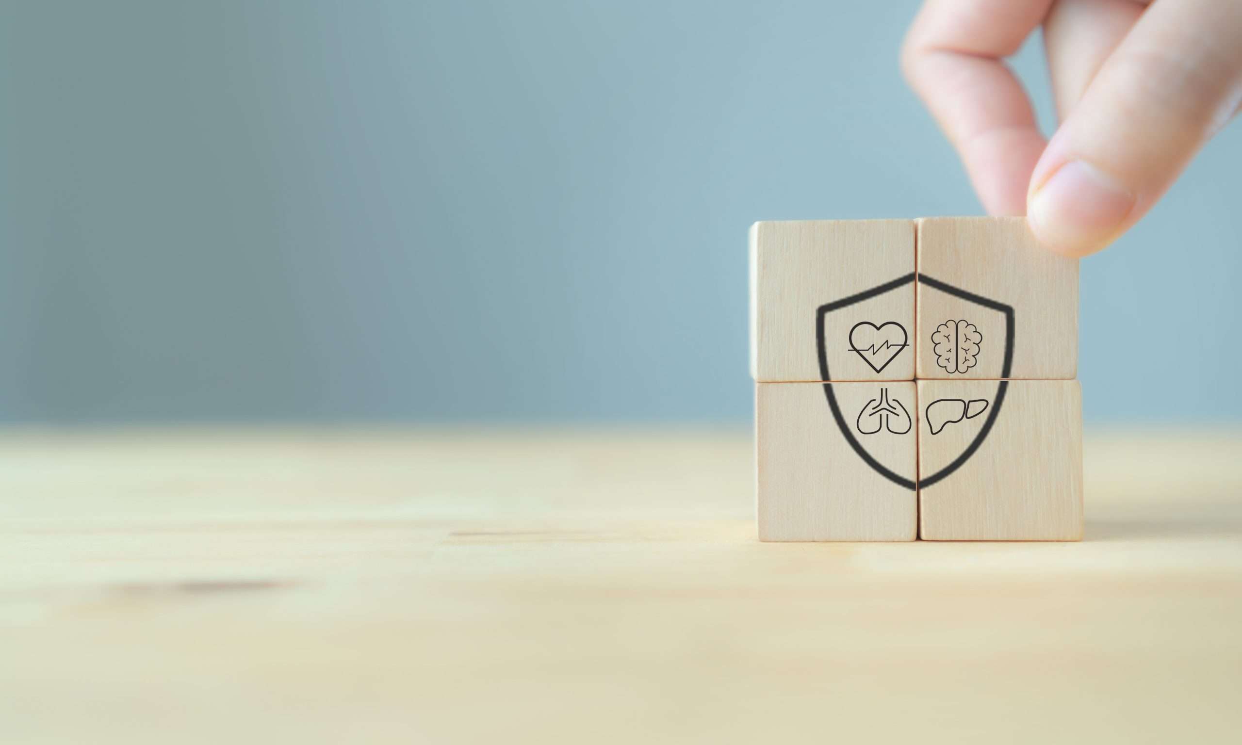 Internal organ protection. Critical illness insurance. Protection, treatment, prevention and patronage health in internal organs; heart, brain, kindneys, liver, lungs, stomach. Health insurance banner