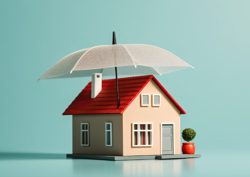 Introducing Affordable Options for Home Insurance In Northern Ireland